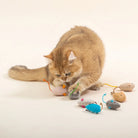 Cat enjoying a pack of colorful catnip mouse toys, enhancing playtime excitement for feline friends.