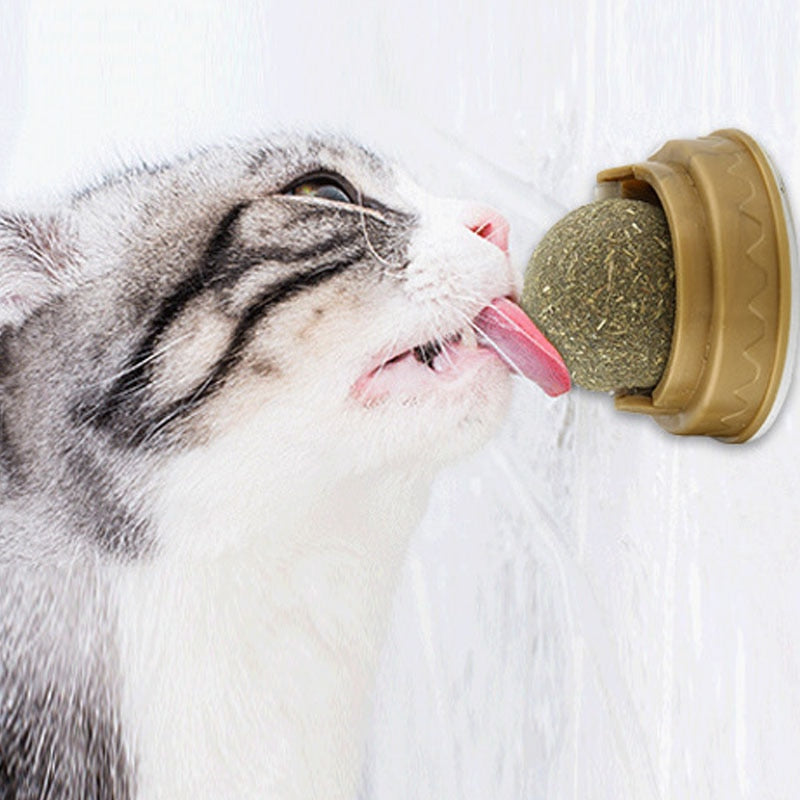 Cat engaging with the wall-mounted Catnip Licking Ball by HappinessPaws™, an interactive play treat.