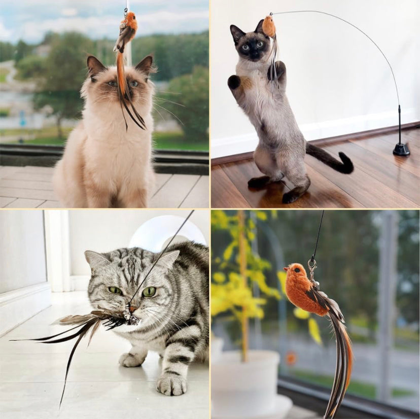 Multiple cats interacting with the Bird Simulation Toy by HappinessPaws™, perfect for engaging feline instincts.