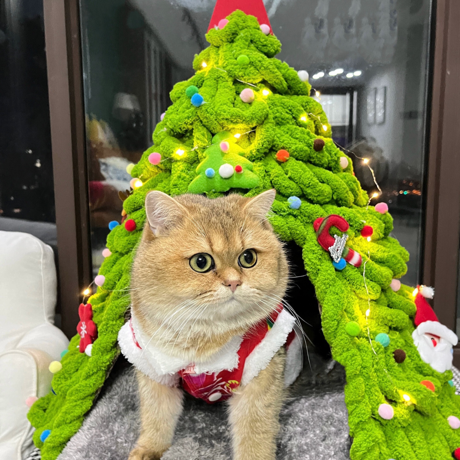 Golden cat comfortably sitting in a cozy Christmas tree-shaped cat bed decorated with lights and festive ornaments.