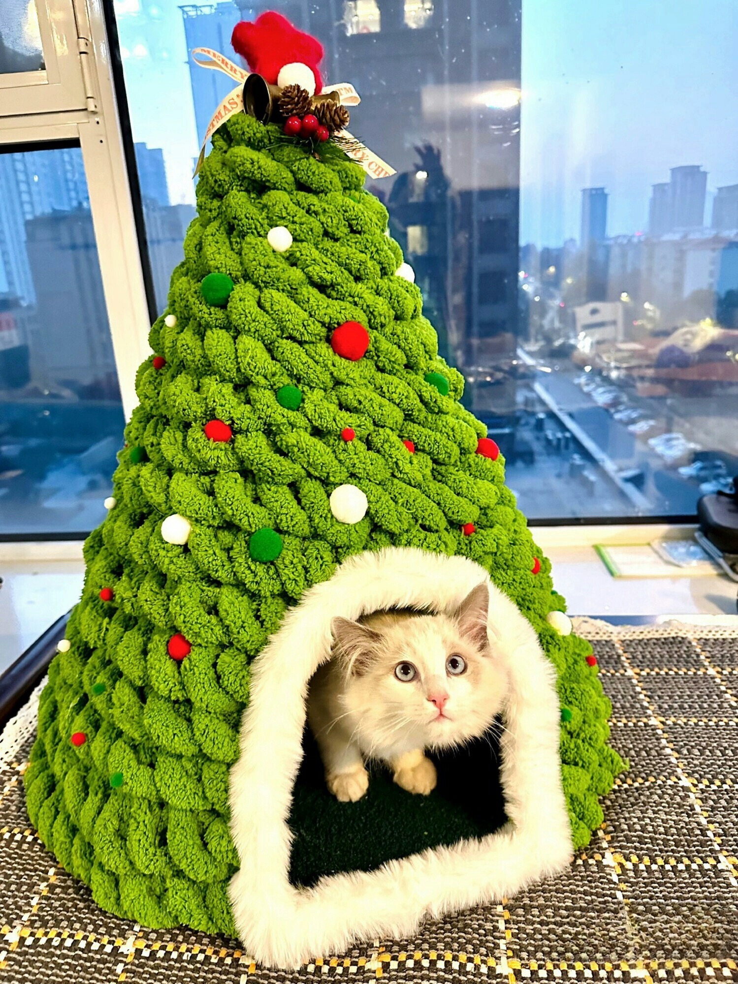 White kitten peeking out from a Christmas tree-shaped cat bed placed near a window with a city view in the background.