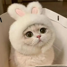 Cat wearing a fluffy white bunny costume with pink ears.