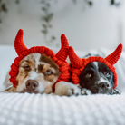 Two dogs wearing red devil horn hats on a white surface.