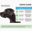 Dog sizing guide with head measurement chart and breed suggestions.