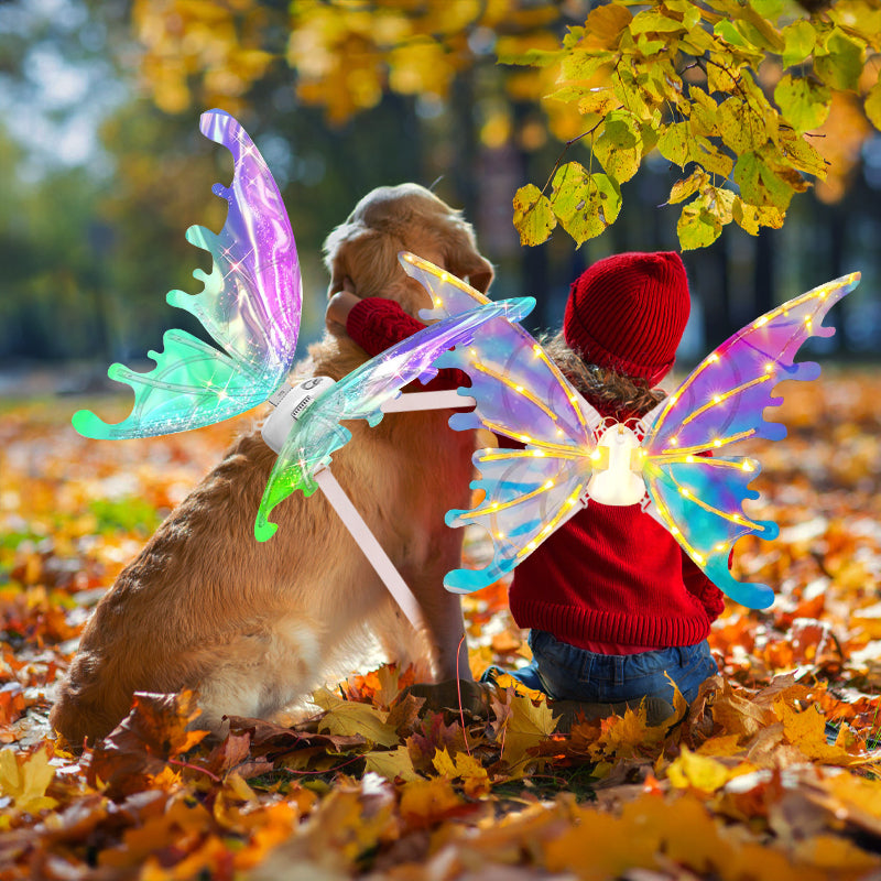 Dog and child with matching glowing butterfly wings, sitting in a colorful autumn setting.