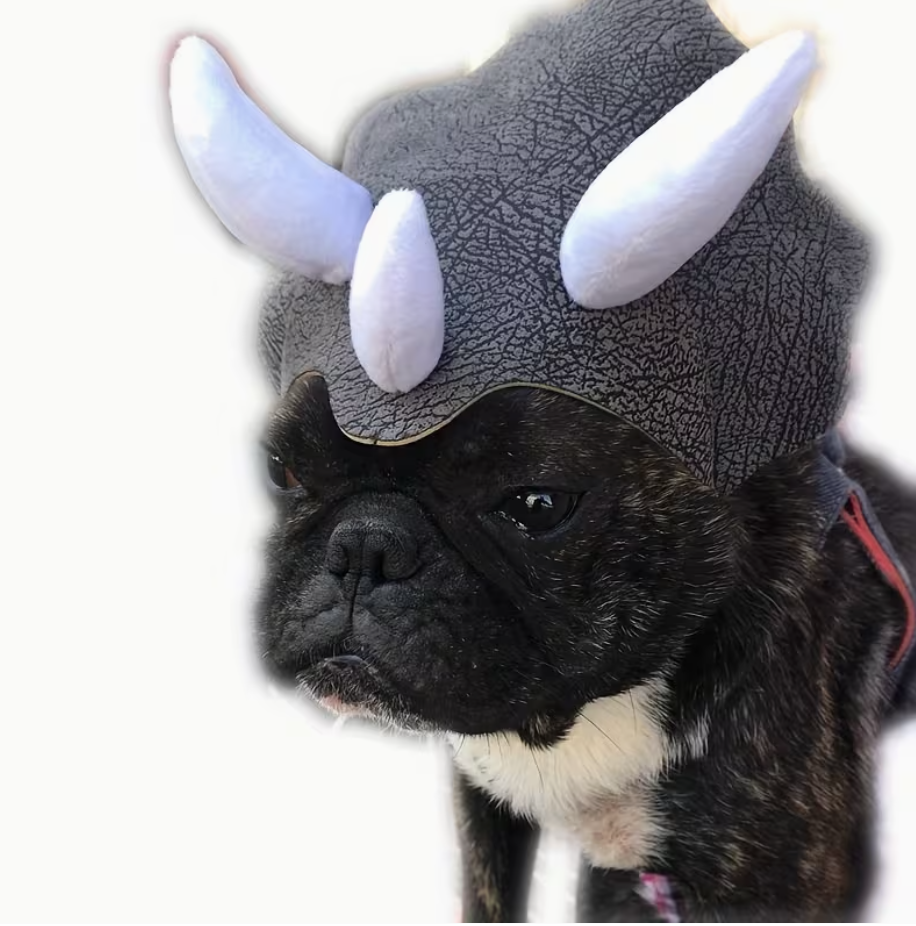 Dog wearing a gray helmet with white horns on a white background
