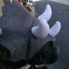 Dog wearing a gray fleece coat with white antlers on a dark surface