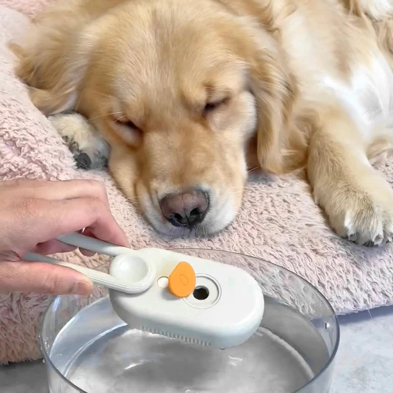 Golden Retriever sleeping beside the 3-in-1 Water Dog Brush by HappinessPaws