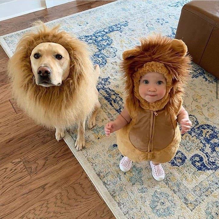 Lion Dog Costume - HappinessPaws