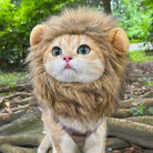 Cat in a lion costume by HappinessPaws™, exploring nature with an expressive look