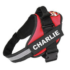 Personalised No Pull Dog Harness HappinessPaws™ - Red