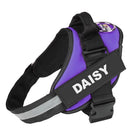 Personalised No Pull Dog Harness HappinessPaws™ - Purple