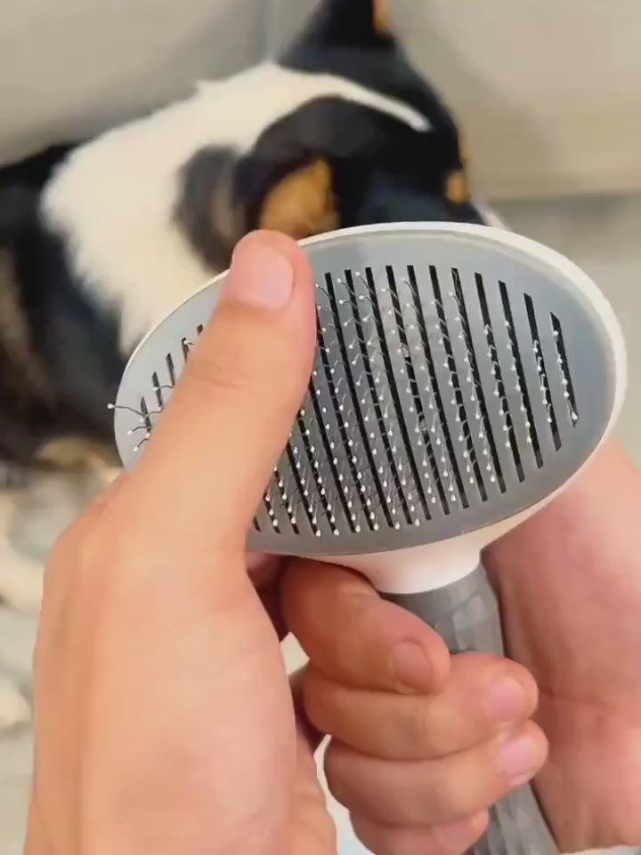 The HappinessPaws™ Cat Self-Cleaning Brush: a solution for shedding and grooming woes