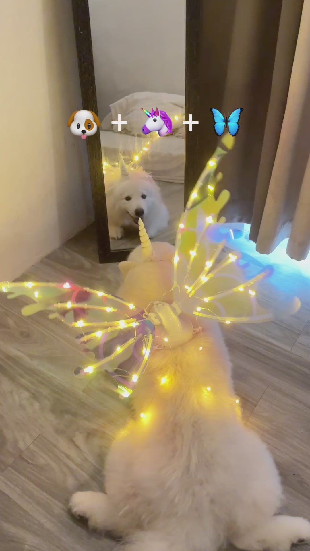 Dog wearing a unicorn horn and glowing butterfly wings, looking at its reflection in a mirror.