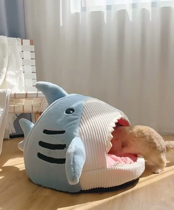 Shark Cat Bed by HappinessPaws™ - Playful Design Stimulates Curiosity and Fun Video