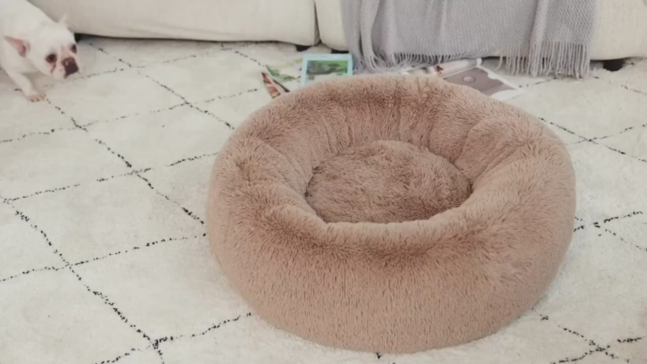 Donut bed HappinessPaws™ Presentation video