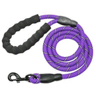 Purple Strong Reflective Dog Leash HappinessPaws™