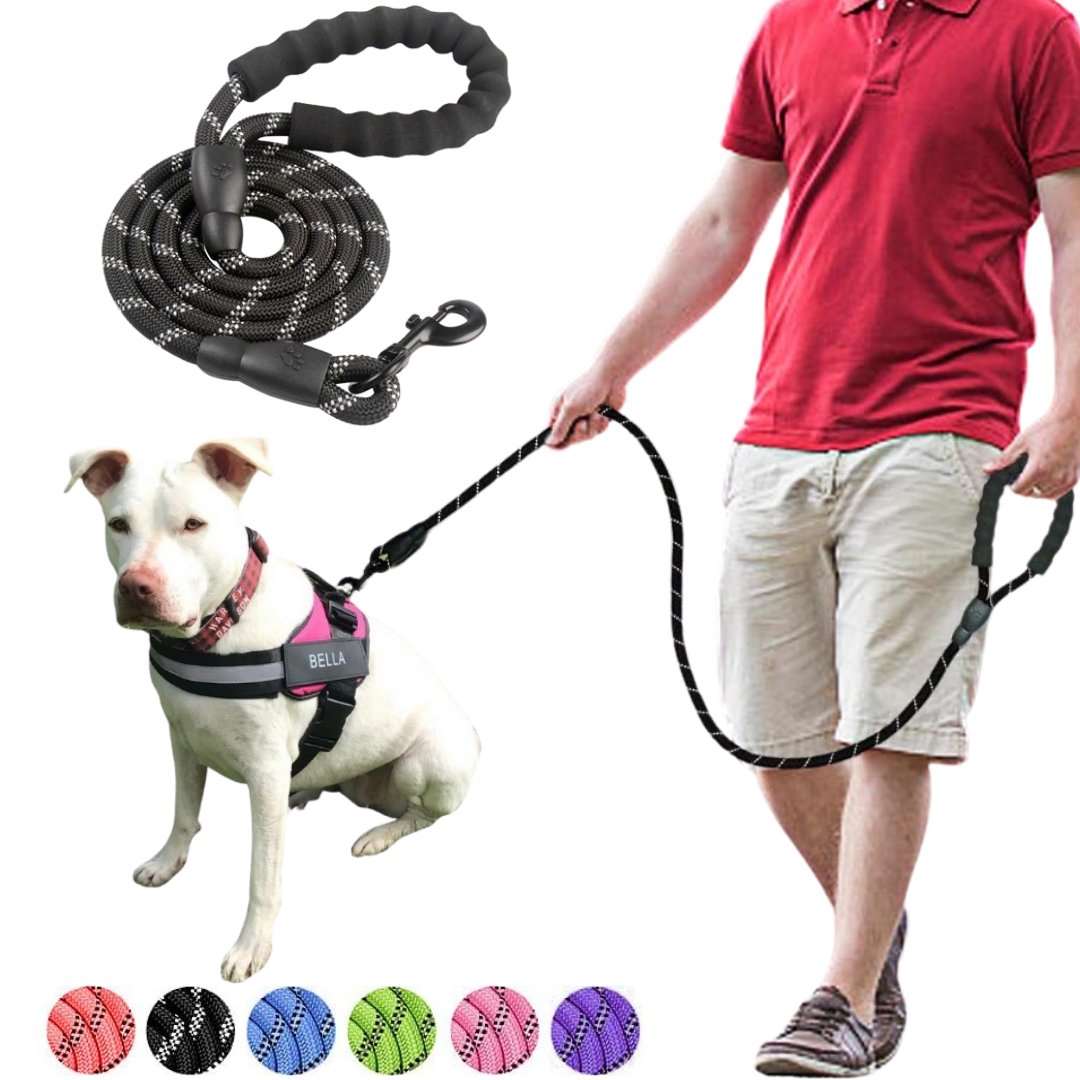 Reflective Dog Leash: Keep your pet safe and visible in low-light conditions.