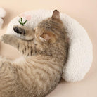 Tabby kitten sleeping soundly on a white HappinessPaws calming pillow