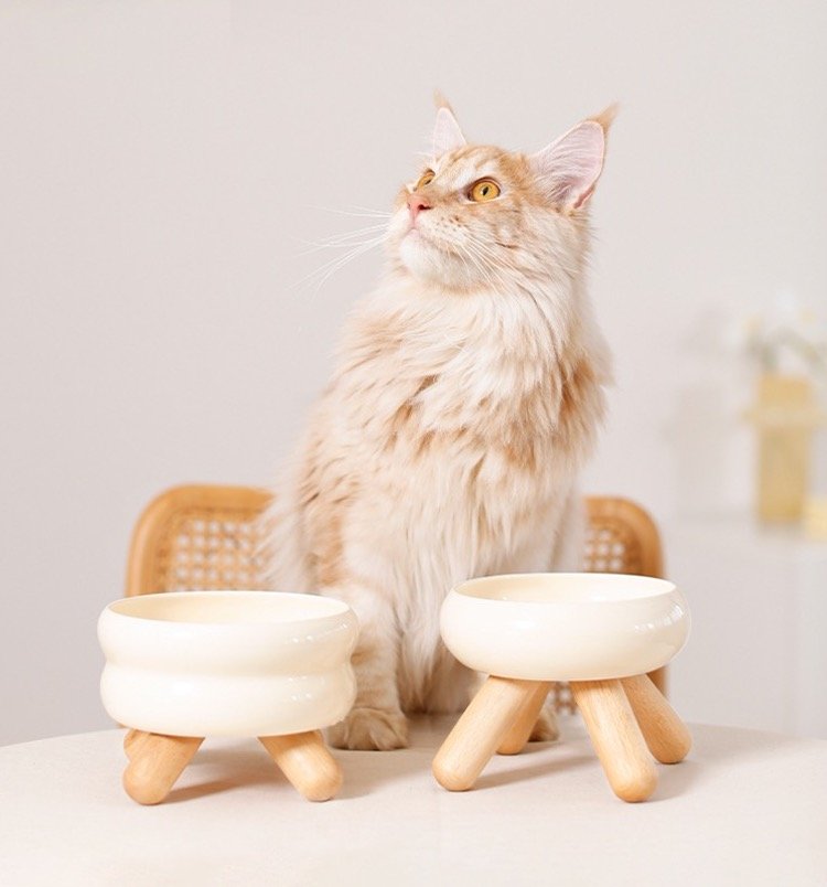 Gulo Ceramic Pet Bowl -Cream White HappinessPaws™